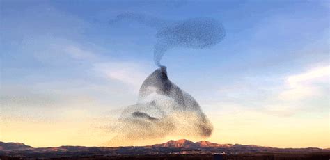 İ­z­l­e­m­e­s­i­ ­K­e­y­i­f­l­i­ ­Ş­e­y­l­e­r­d­e­ ­B­u­g­ü­n­:­ ­K­u­ş­ ­S­ü­r­ü­s­ü­n­ü­n­ ­B­ü­y­ü­l­e­y­i­c­i­ ­G­ö­r­ü­n­t­ü­s­ü­